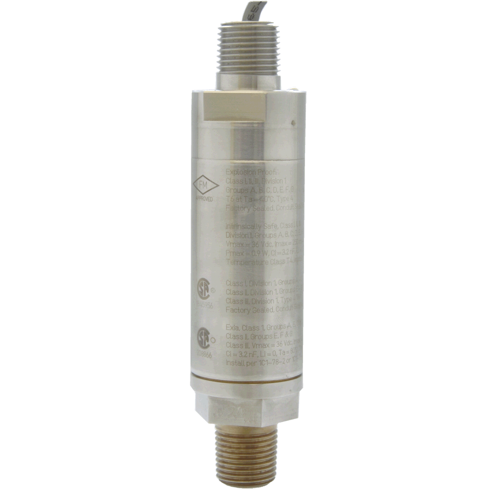 002_311-PZ-CR-06-FN_Back.png
